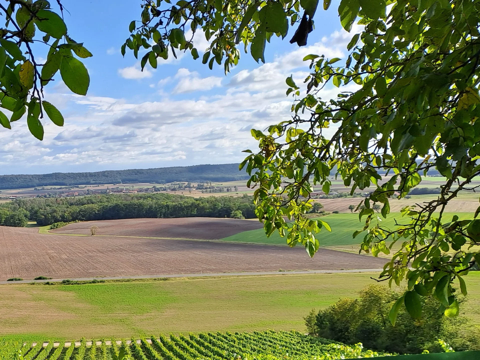 © DAV/Elisabeth Begert