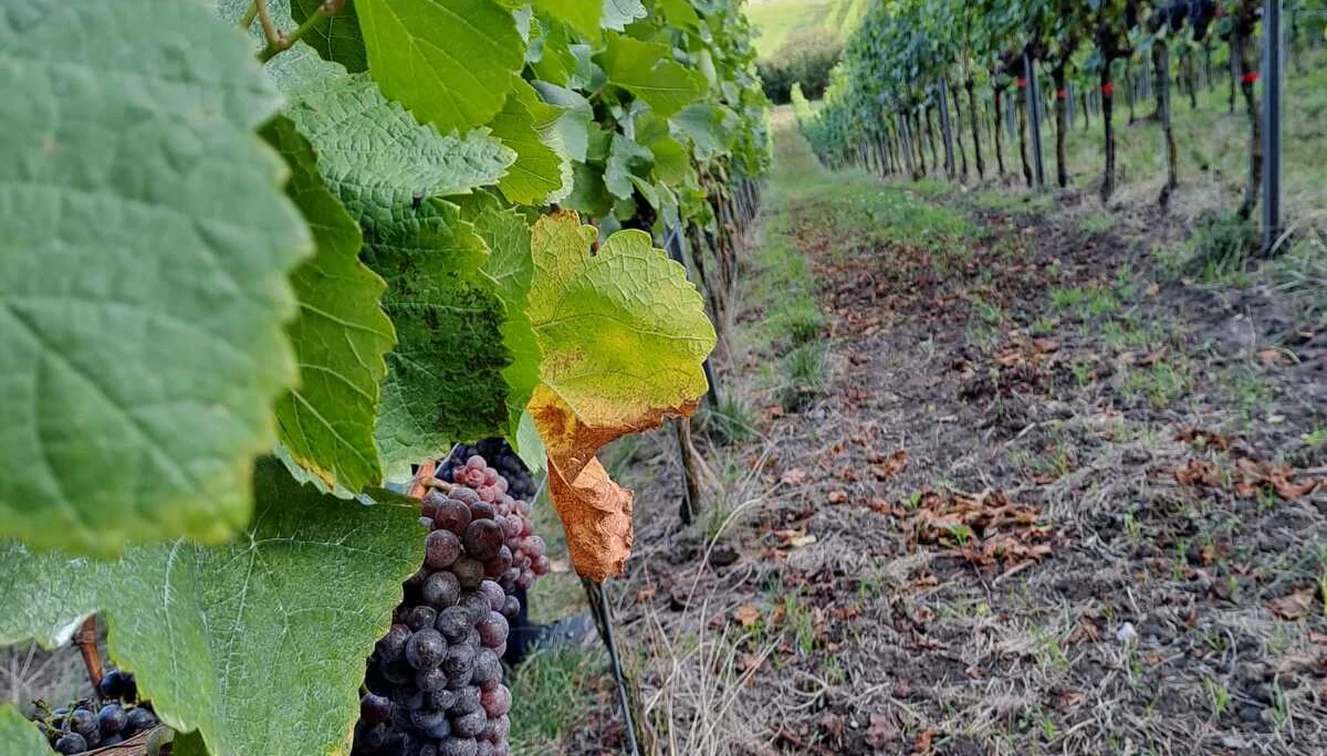 © DAV/Elisabeth Begert