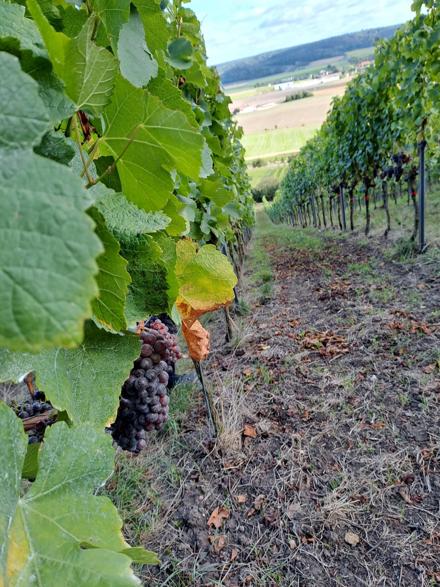 © DAV/Elisabeth Begert