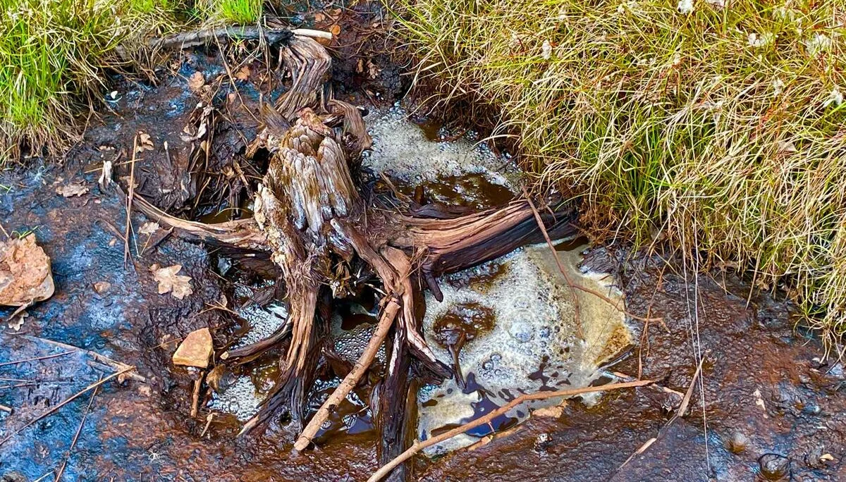 © DAV/Elisabeth Begert