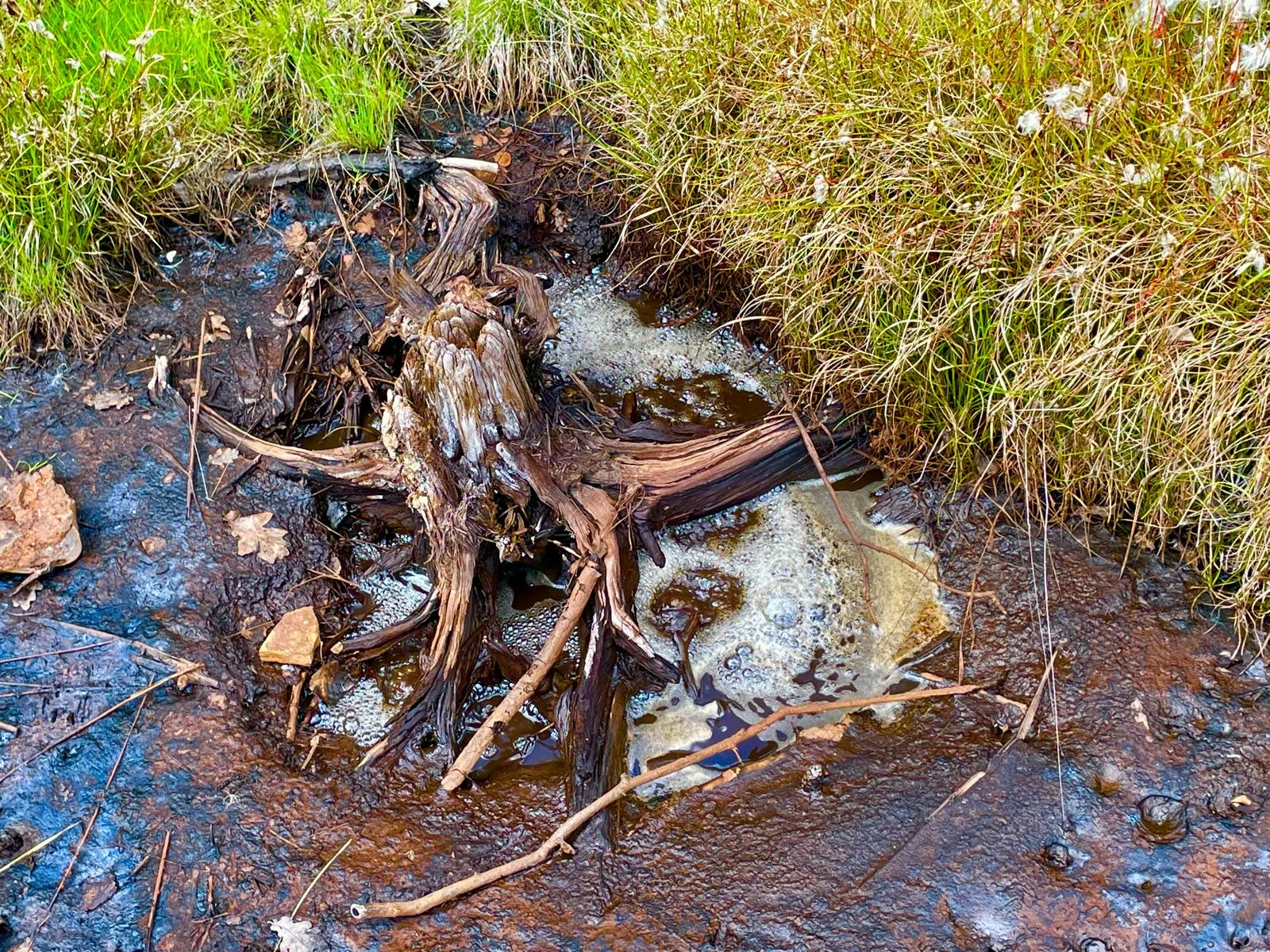 © DAV/Elisabeth Begert