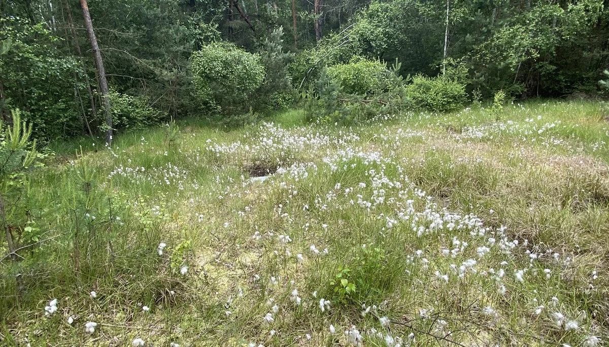 © DAV/Elisabeth Begert