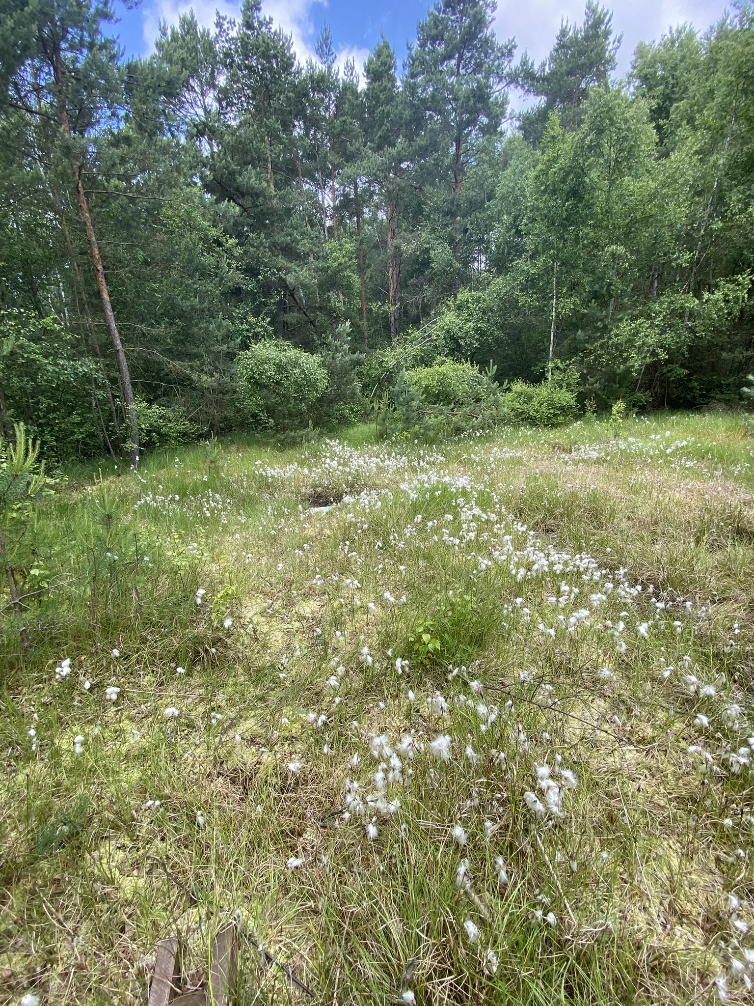 © DAV/Elisabeth Begert