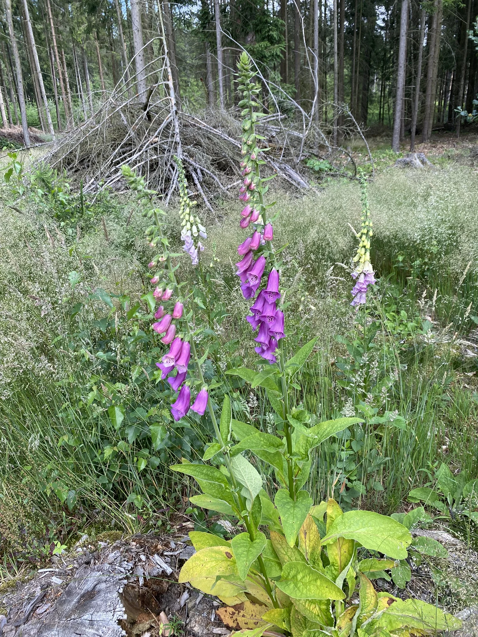 © DAV/Elisabeth Begert