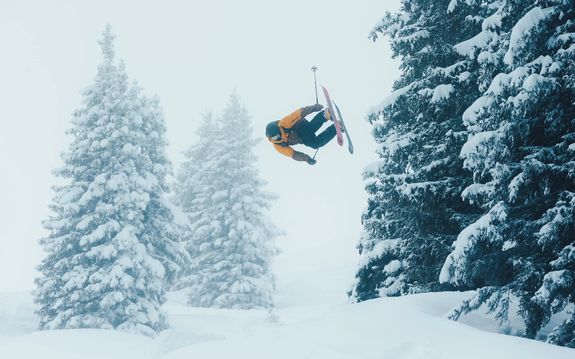 FreerAlde01 | © Milos Jakobi
