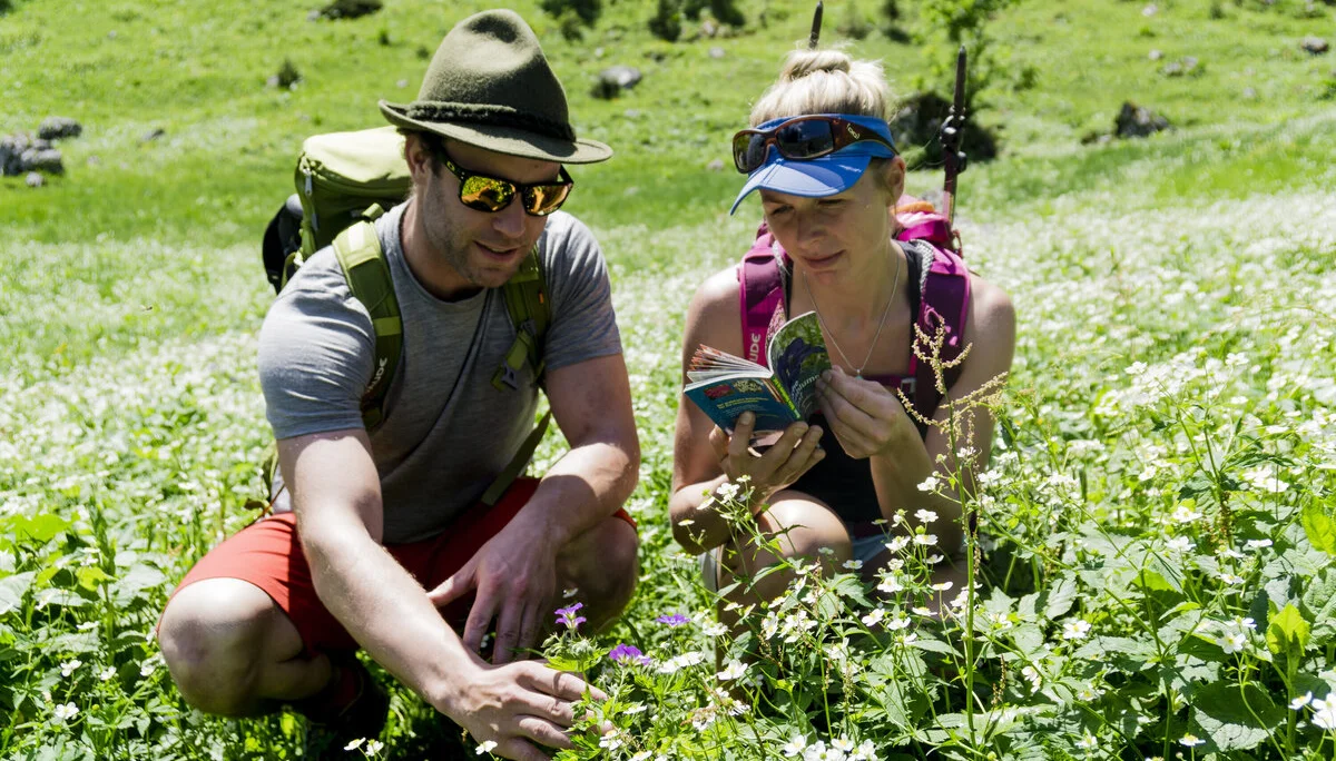 Zwei Wanderer hocken in einer Frühlingswiese und genießen die Alpenblumen | © DAV/Hans Herbig